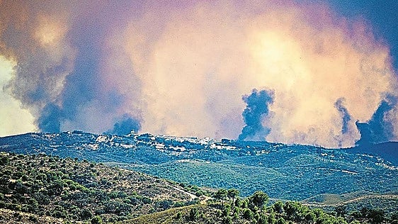 Radiografía de un monstruo: Huelva reinventa las reglas de los incendios