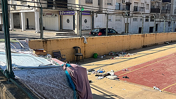 Testigos de las peleas en Granada: «He visto cómo un hombre le echó el perro a un indigente para que le mordiera»