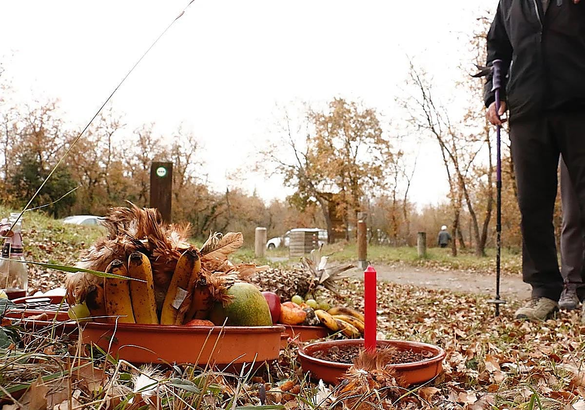 Restos de un ritual de santería hallados en un paraje de Álava