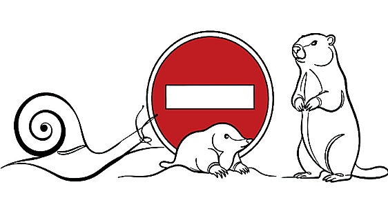 Manual para discutir bien: los tres animales en los que no debes convertirte
