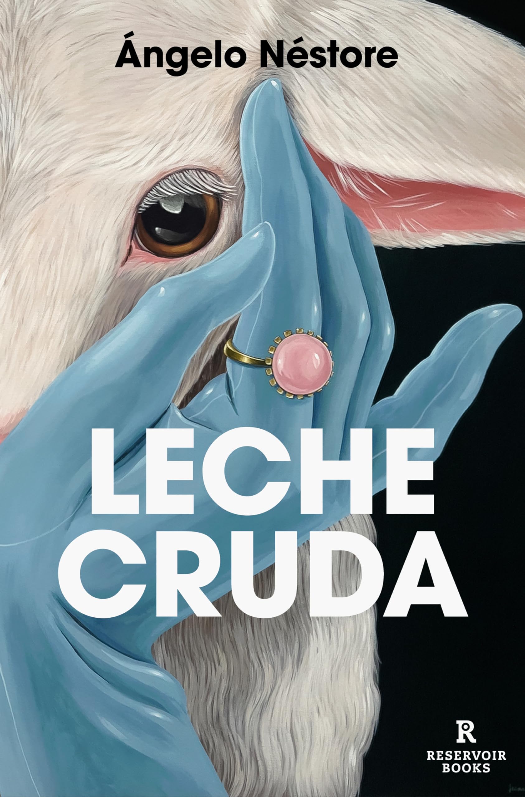 Diez libros queer para regalar (o regalarte) esta navidad