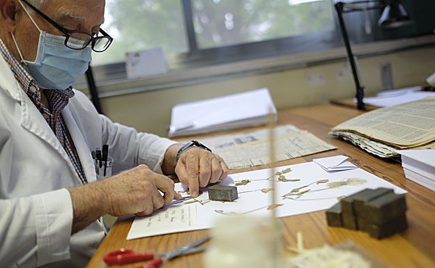 Valentín 'pintando' uno de sus lienzos.