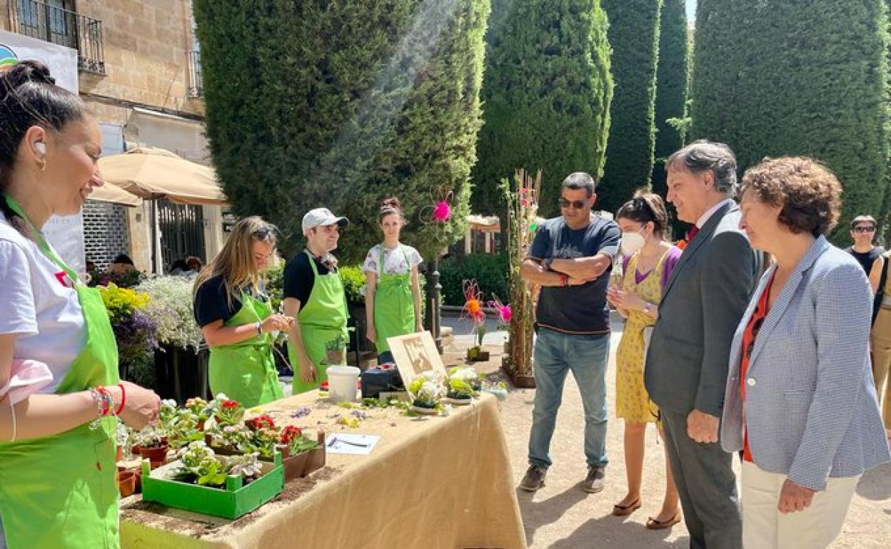 Ayuntamiento e IRNASA-CSIC llevan la Ciencia de las plantas a las calles de la ciudad de Salamanca