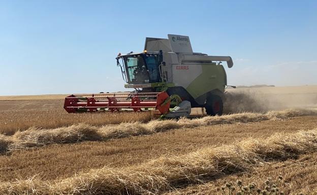 La región afronta la siega de cereal con 13.600 cosechadoras y el gasoil 0,40 euros más caro