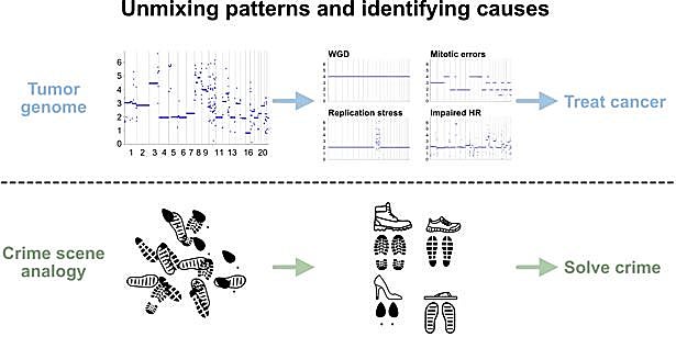 Con este gráfico de una 'escena del crimen' caótica a otra más ordenada, los científicos tratan de visualizar lo que han entendido. 