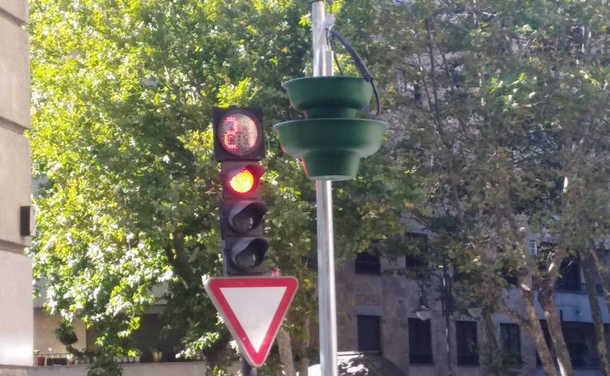 Una de las macetas instaladas para los jardines verticales de Álvaro Gil