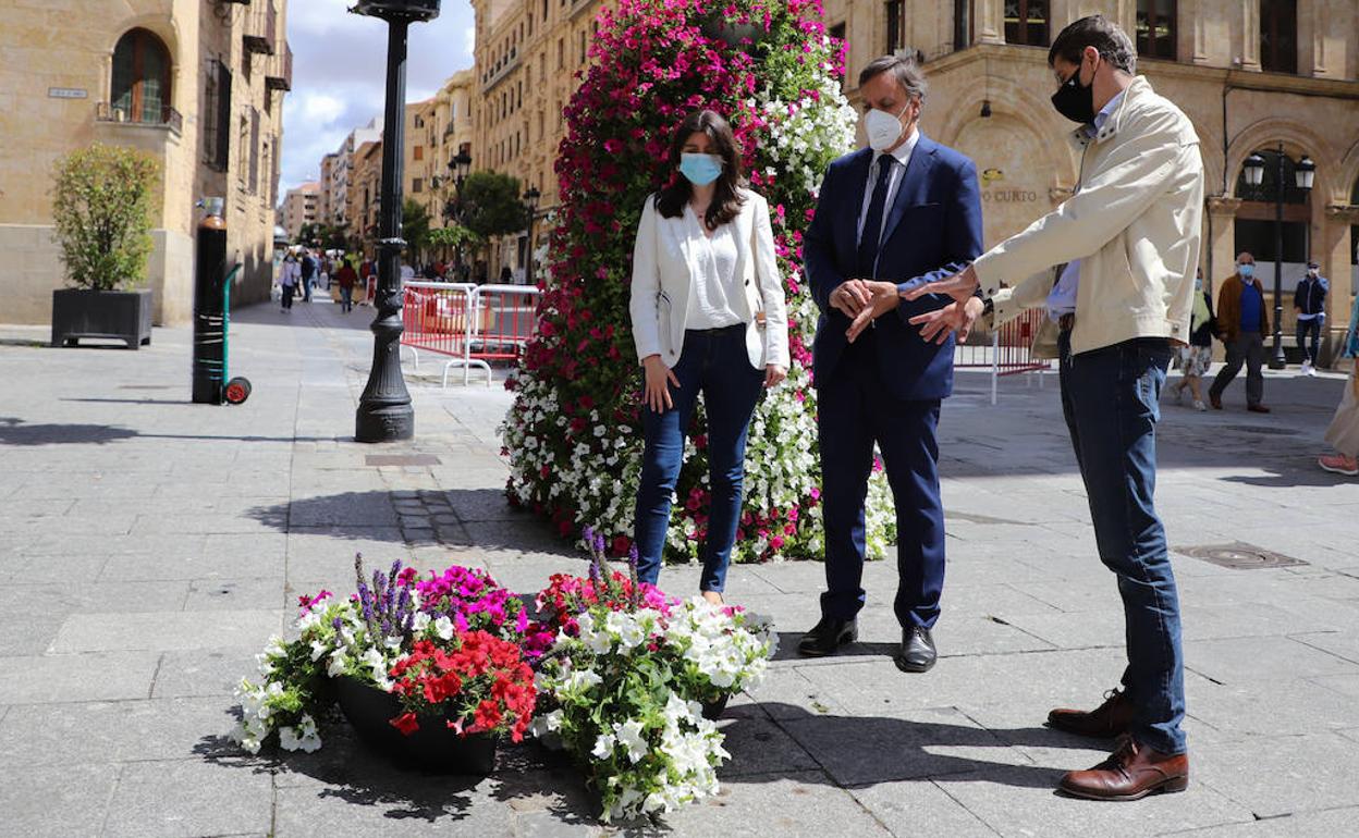 Colocación de flores en el centro de la ciudad. 
