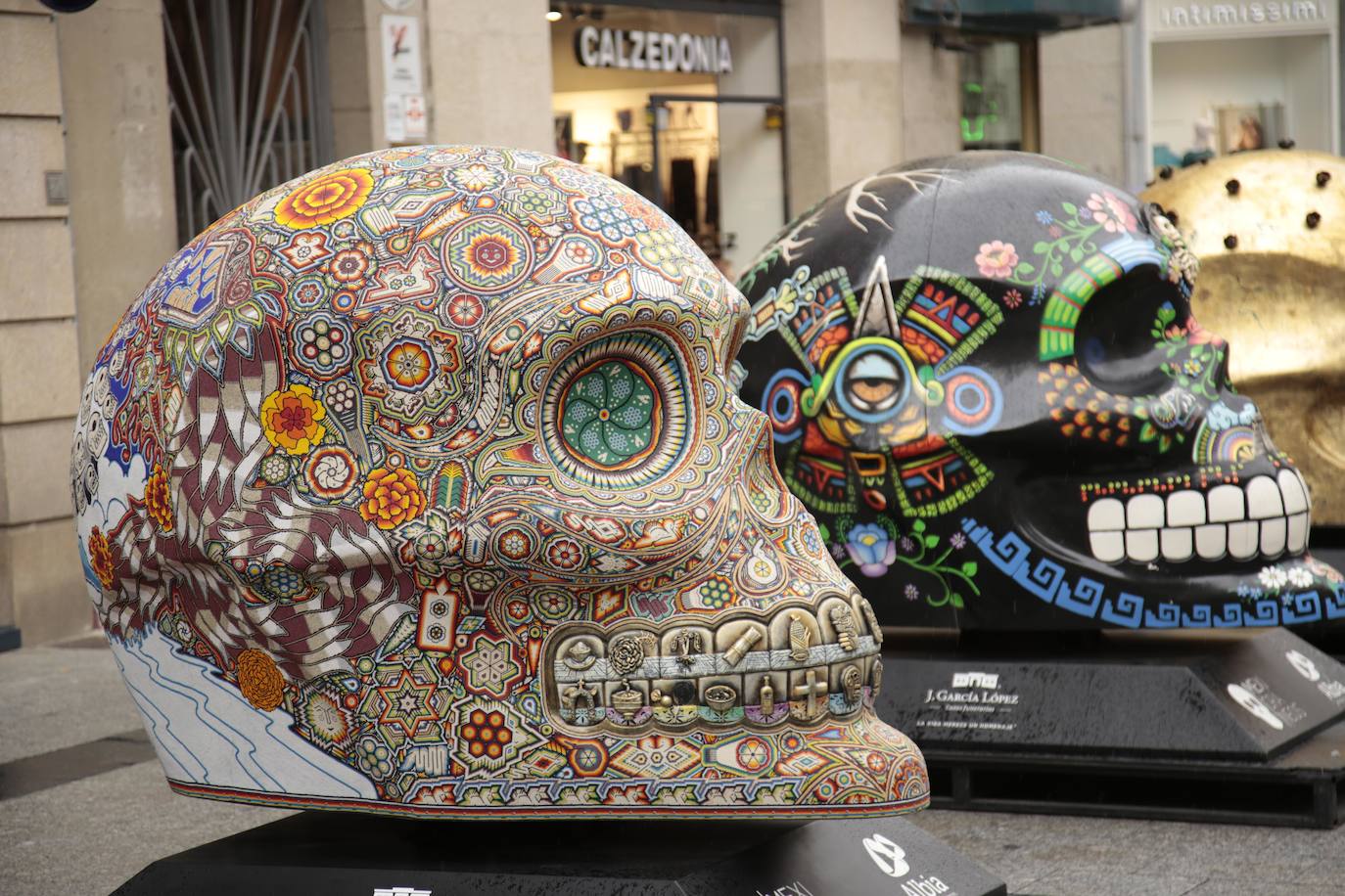 Fotos: Cráneos enormes se instalan en el centro de Salamanca