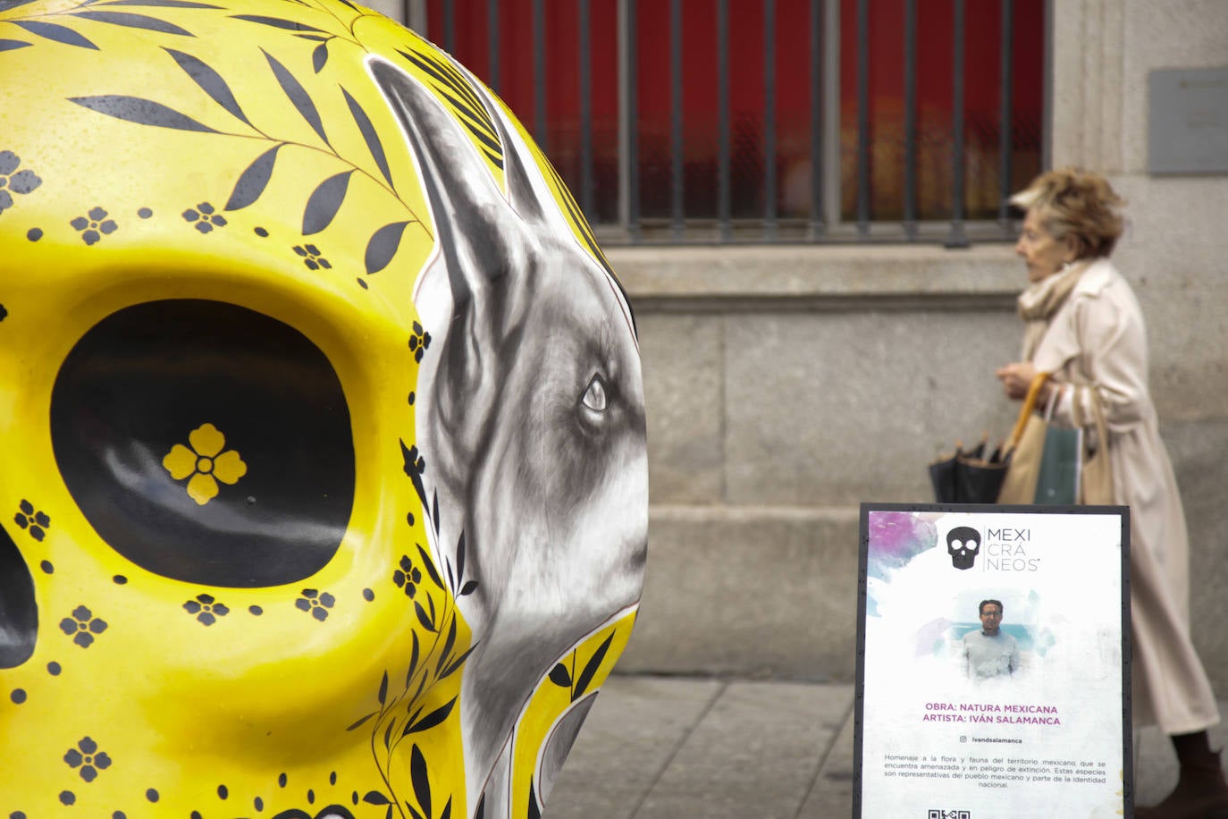 Fotos: Cráneos enormes se instalan en el centro de Salamanca