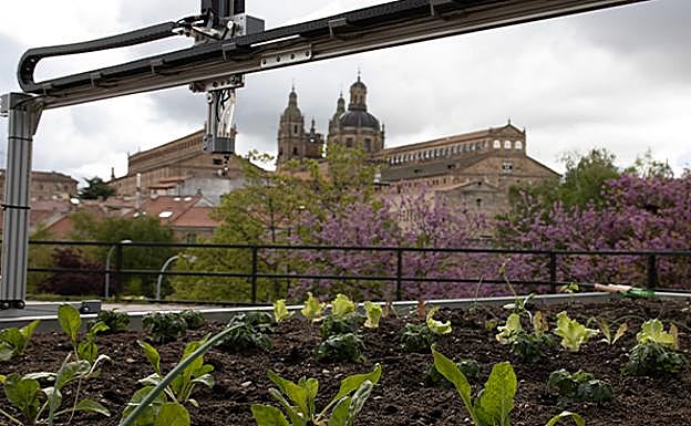 La Universidad de Salamanca, entre las 10 mejores de España en sostenibilidad