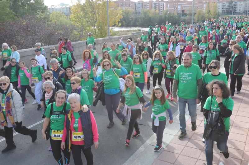 Integrantes de la marcha cruzan el puente de Enrique Esteban.