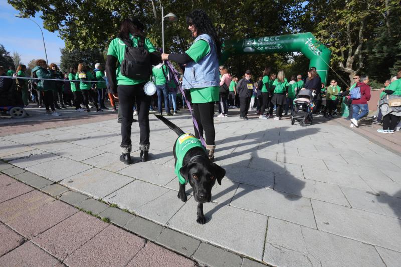 MIles de personas cruzan el puente de Enrique Esteban. 
