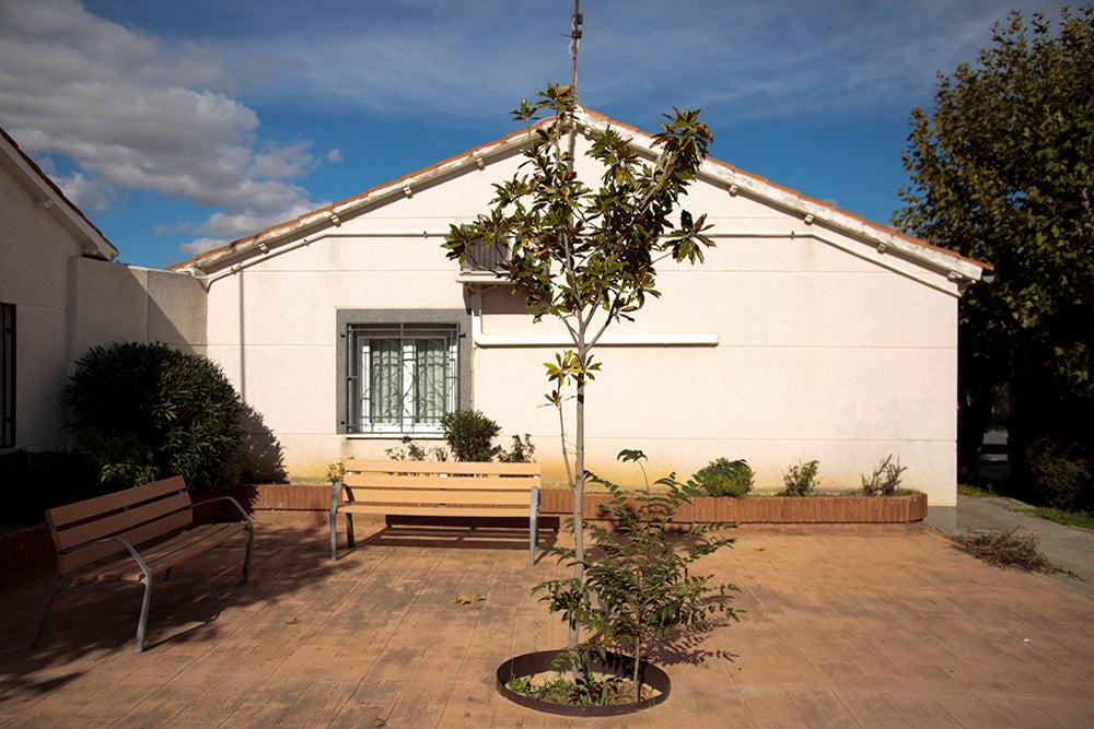 Los vecinos cuidan de algunas plantas.