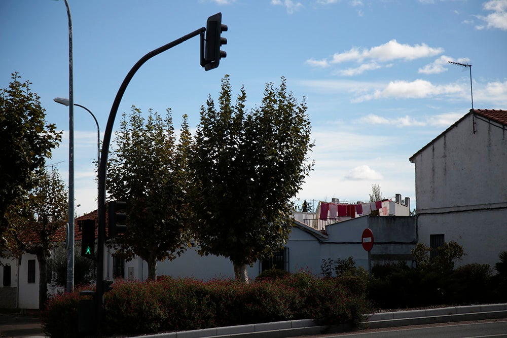 Las zonas ajardinadas rodean a las viviendas por todo el barrio.