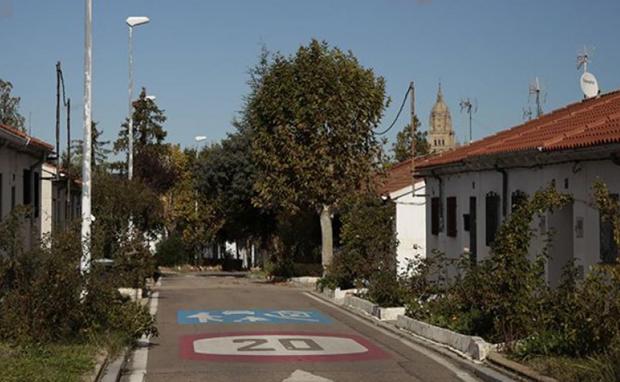 La torre de la catedral de Salamanca al fondo, una estampa típica de La Vega.