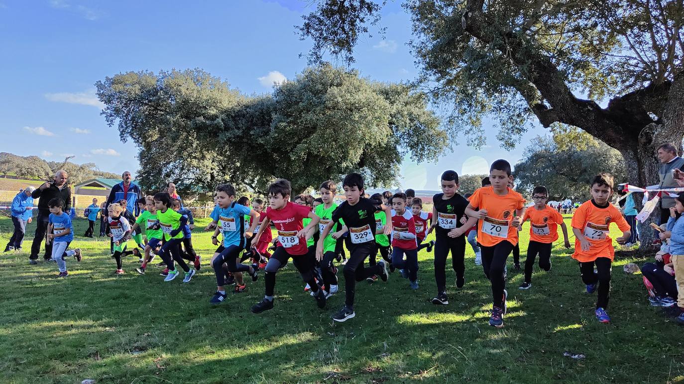 Fotos: VI Carrera Popular Taurina y I Jornada de Juegos Escolares de Campo a Través