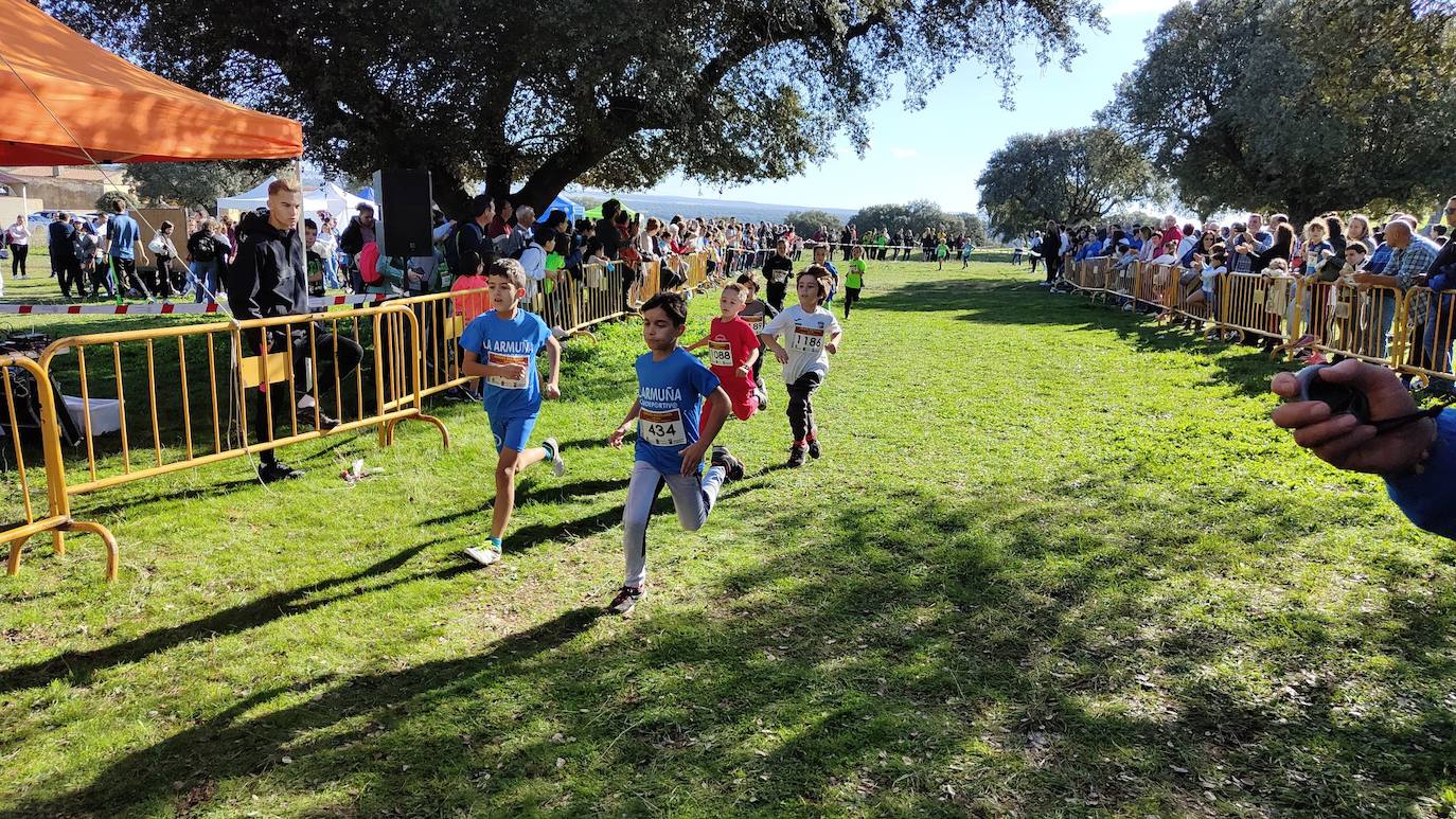 Fotos: VI Carrera Popular Taurina y I Jornada de Juegos Escolares de Campo a Través