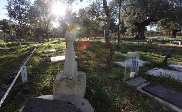 El pueblo de Salamanca con cementerio de mascotas: «Como las personas pero sin misa»