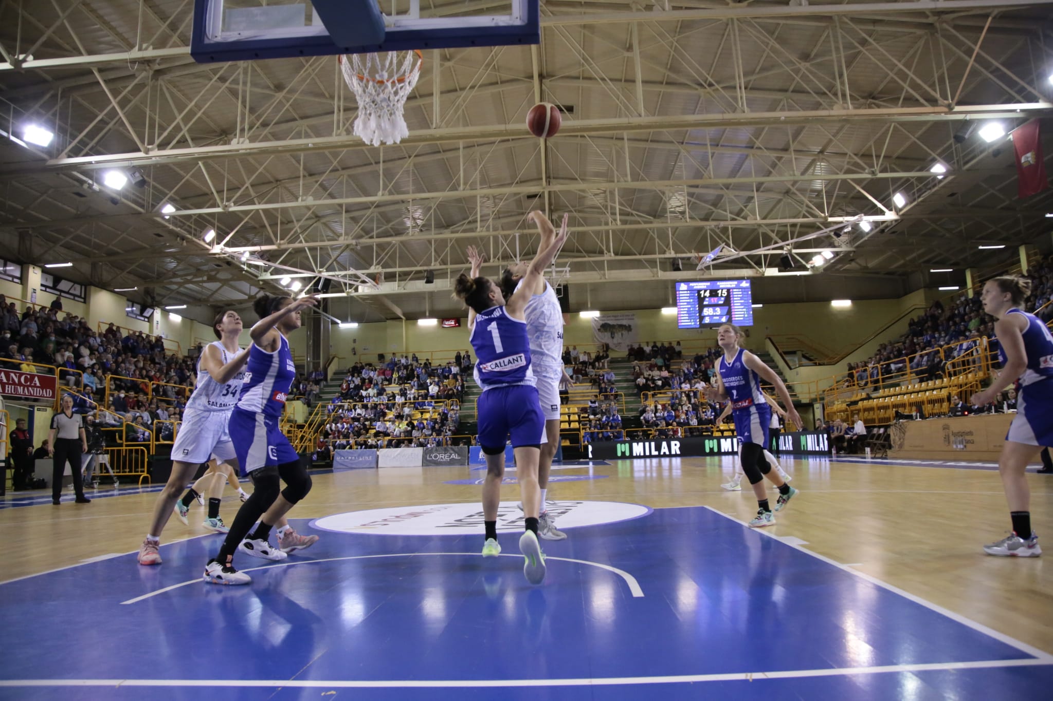 Fotos: Tercera victoria en la Euroliga del Avenida ante el Kangoeroes Mechelen belga