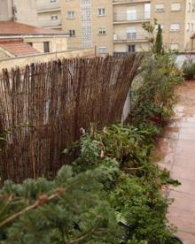 Imagen secundaria 2 - Balcones llenos de plantas para mejorar la calidad ambiental en Salamanca