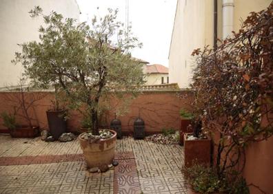 Imagen secundaria 1 - Balcones llenos de plantas para mejorar la calidad ambiental en Salamanca