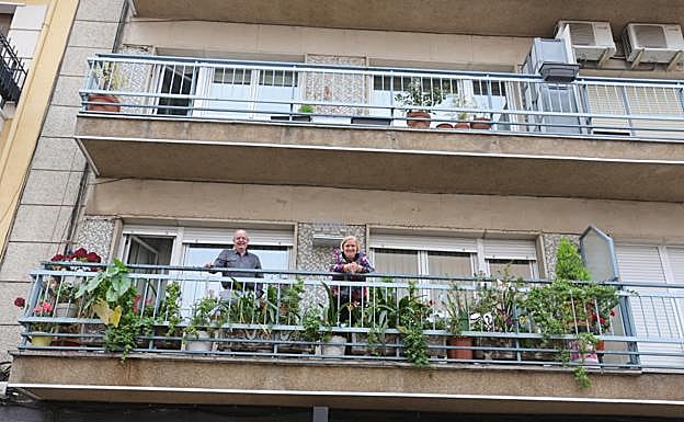 Imagen principal - Balcones llenos de plantas para mejorar la calidad ambiental en Salamanca
