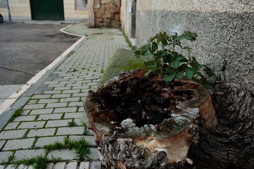 Fotos: Otra mirada a Salamanca (V): El Arrabal