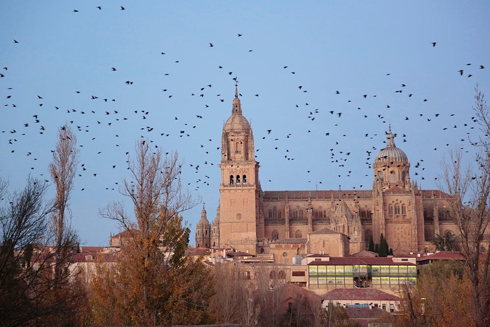 Fotos: Otra mirada a Salamanca (V): El Arrabal