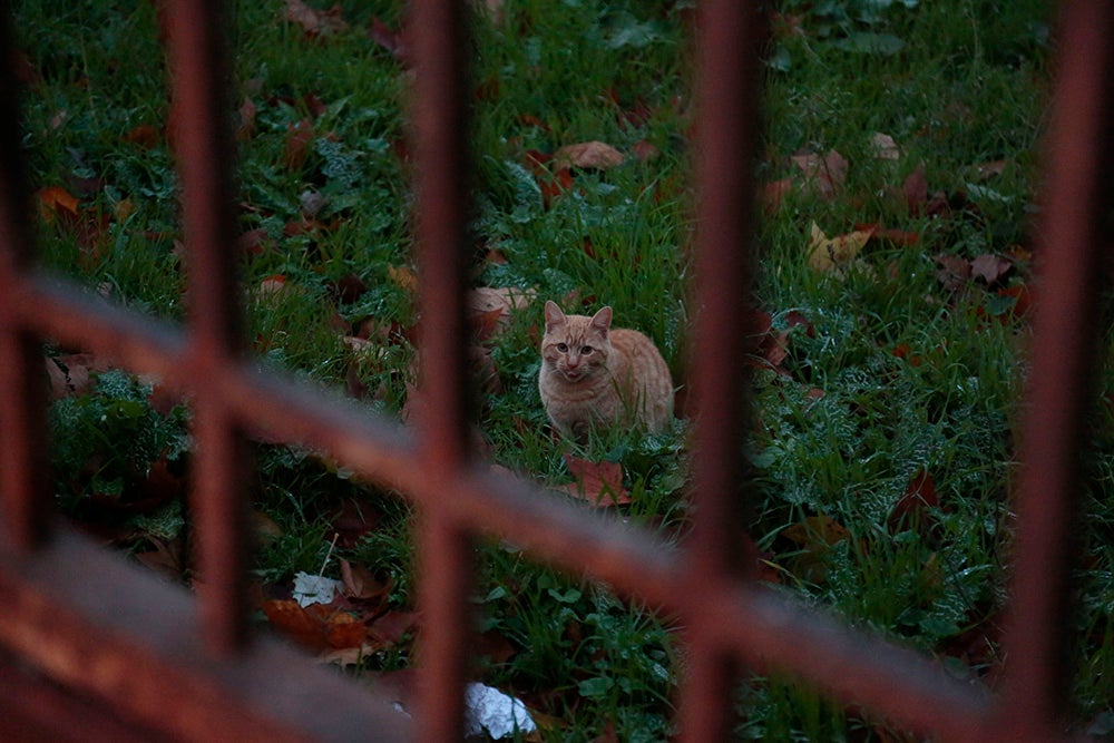 Fotos: Otra mirada a Salamanca (V): El Arrabal