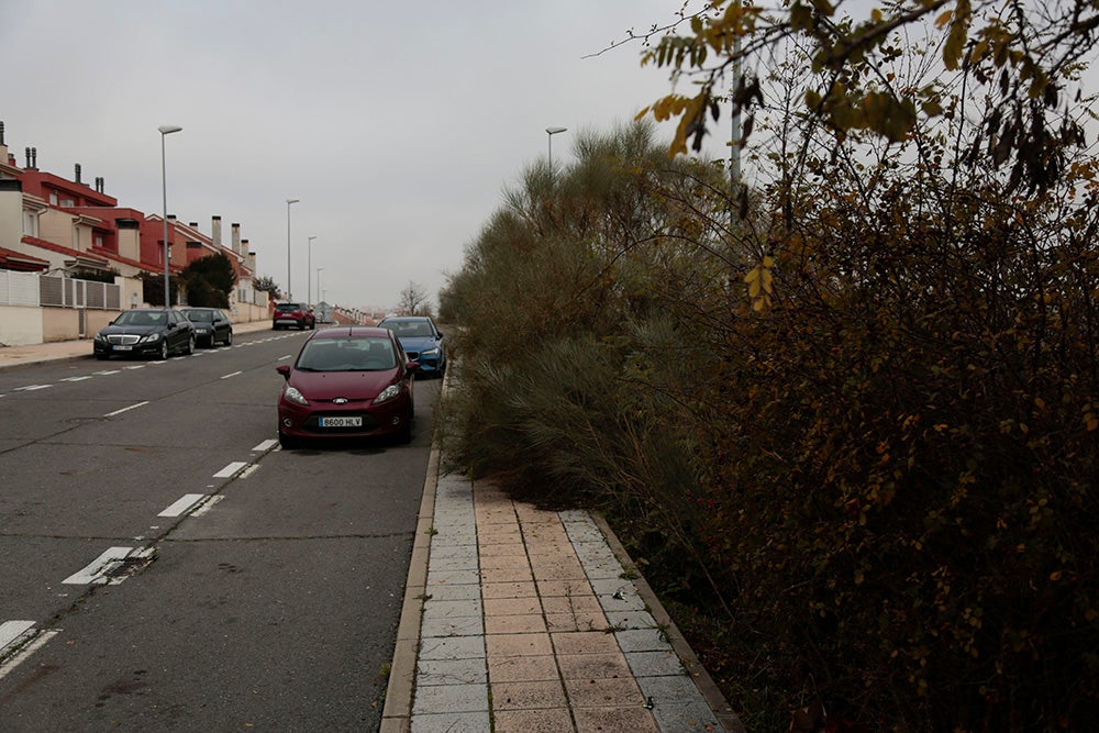 Fotos: Otra mirada a Salamanca (VI). Vistahemrosa
