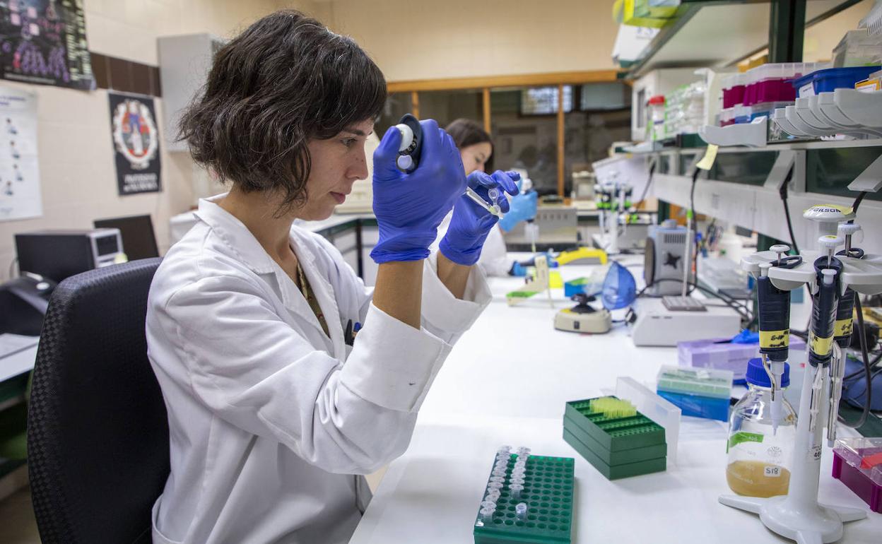 Investigadoras en un labotatorio de Salamanca.
