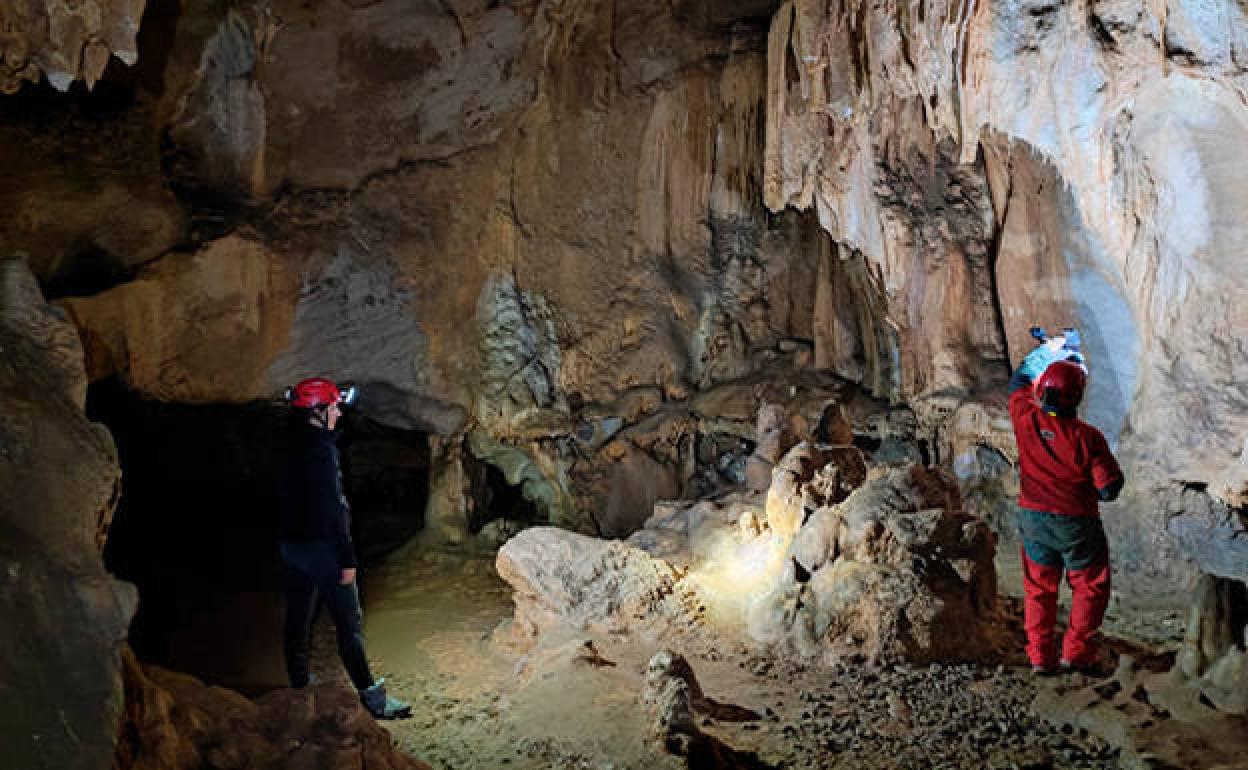 Una aplicación de realidad aumentada permite visualizar al detalle grabados rupestres