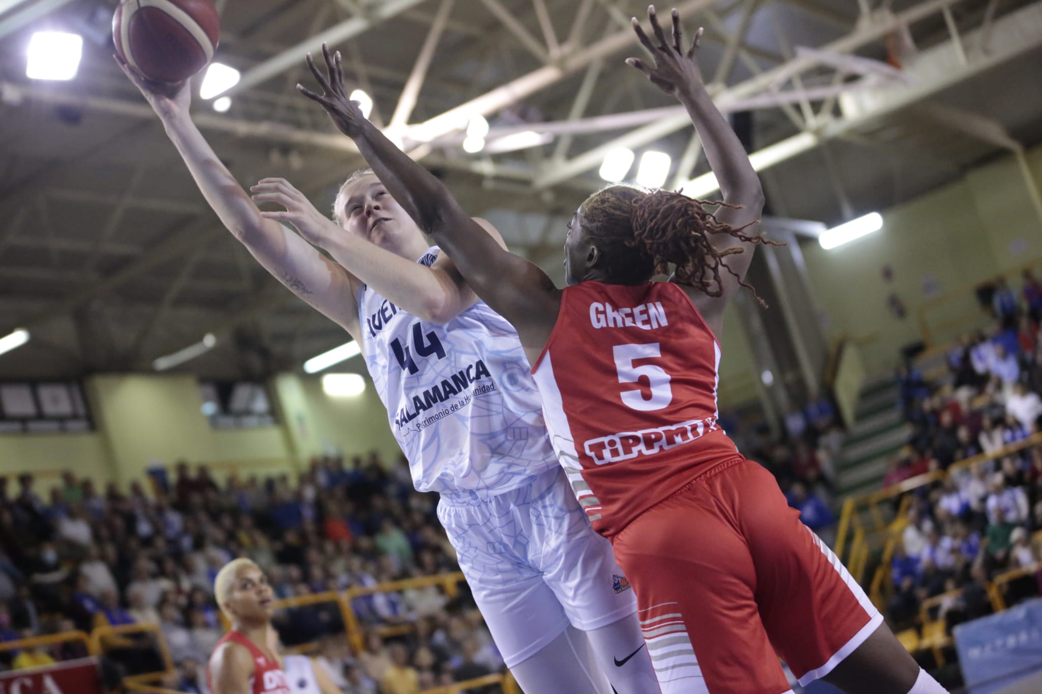 Fotos: Partido de Euroliga entre Avenida y DVTK