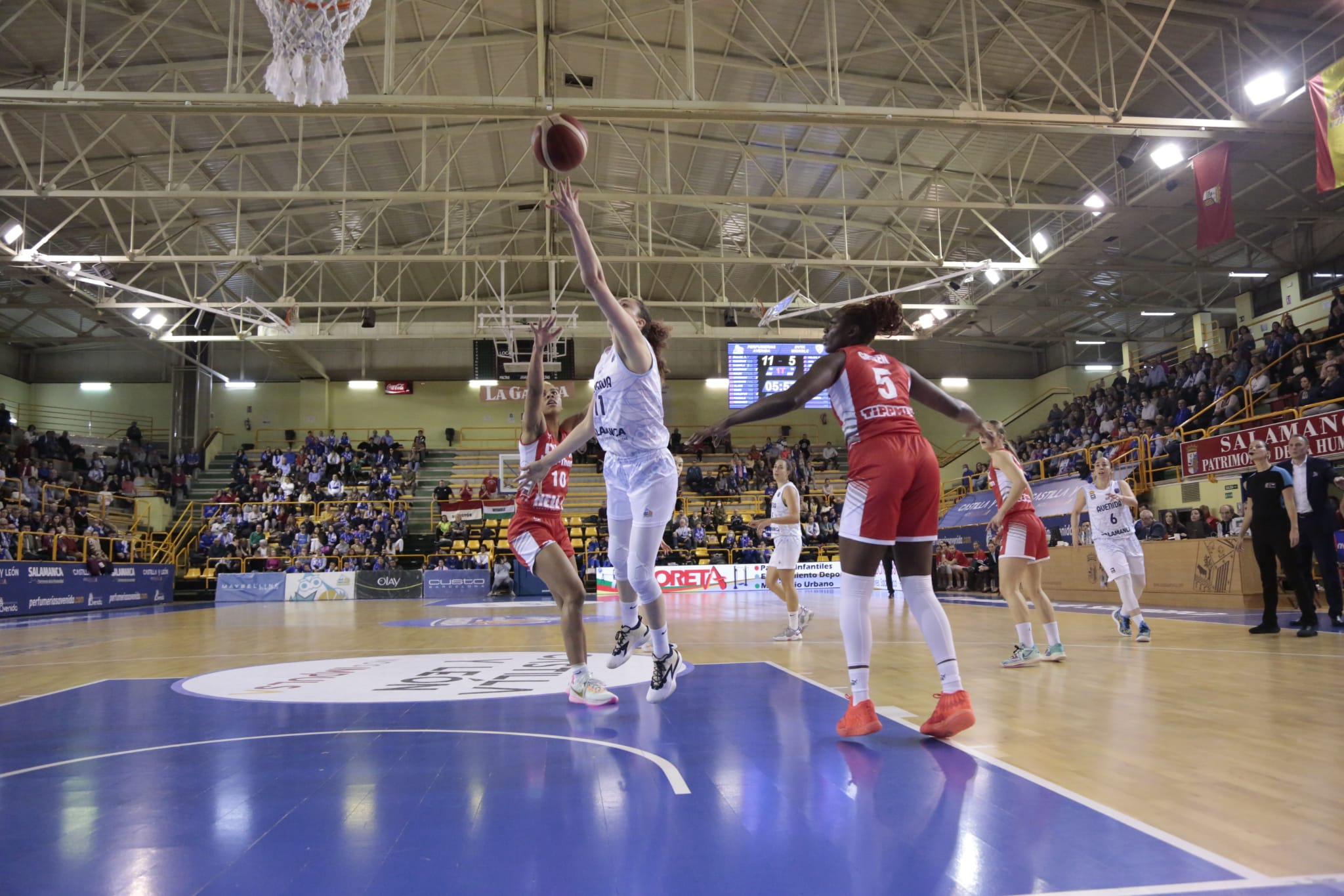 Fotos: Partido de Euroliga entre Avenida y DVTK