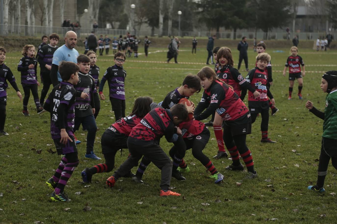 Fotos: III Festival de Escuelas de Rugby de Castilla y León en Salamanca