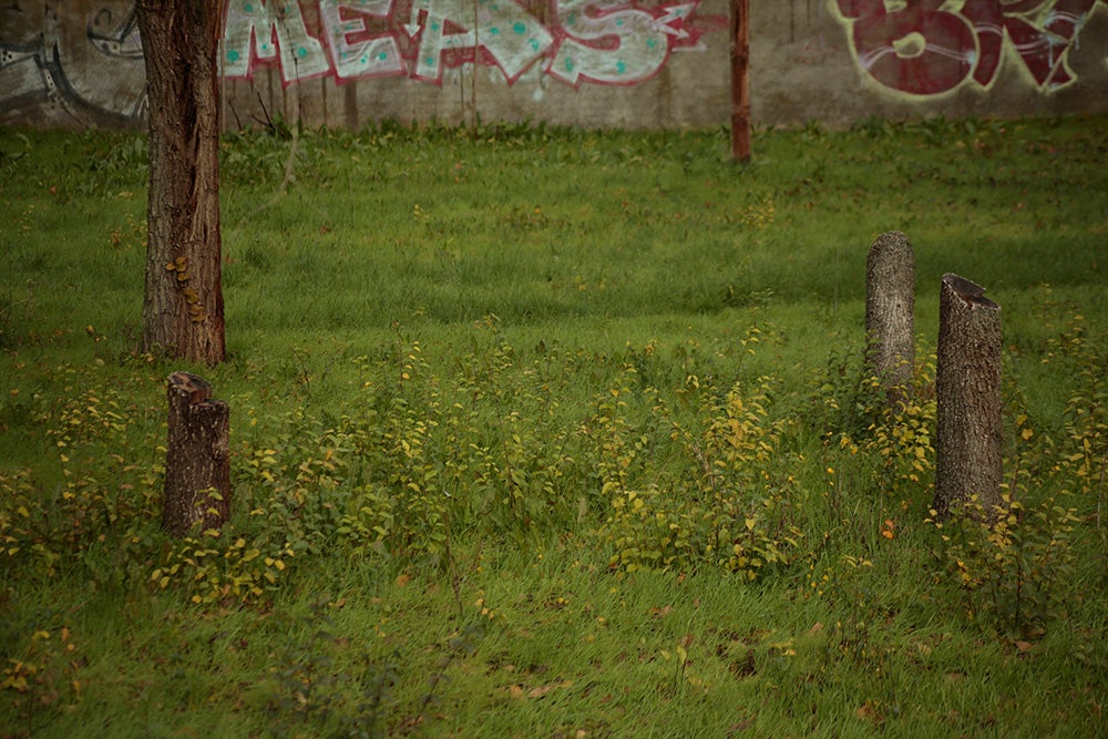 Fotos: Otra mirada a Salamanca. Zona Sur