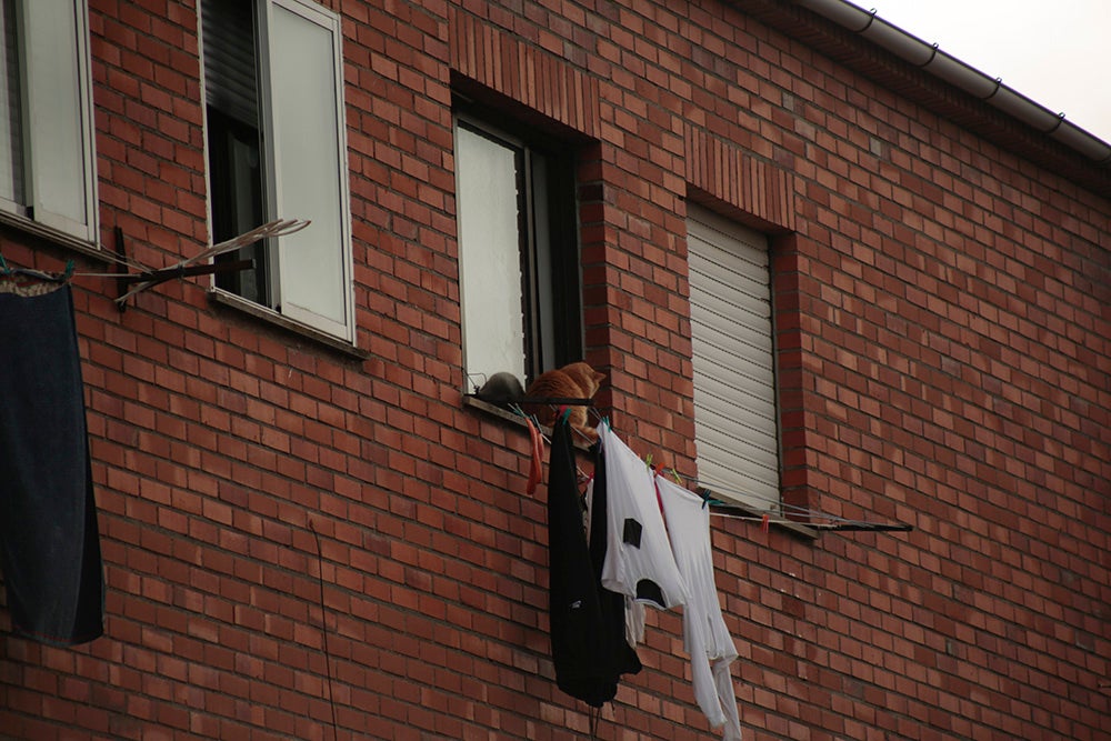 Fotos: Otra mirada a Salamanca. Zona Sur