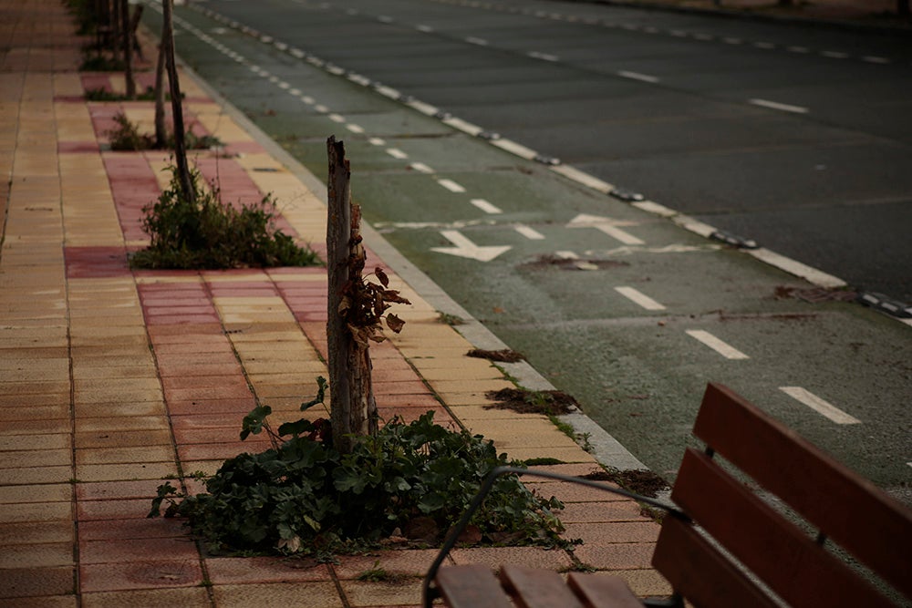 Fotos: Otra mirada a Salamanca. Zona Sur