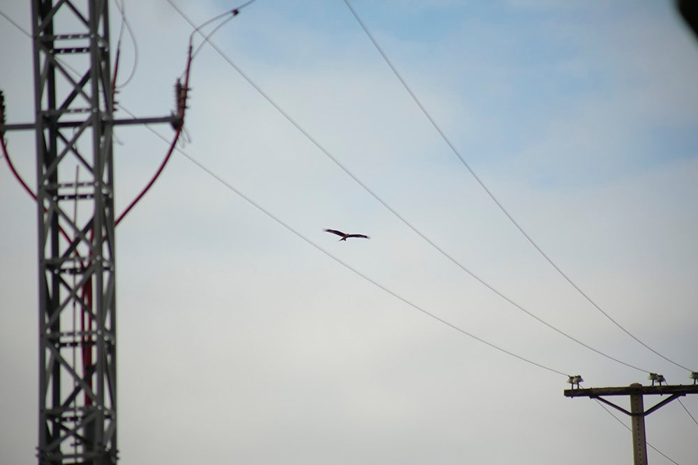 Fotos: Otra mirada a Salamanca. Zona Sur