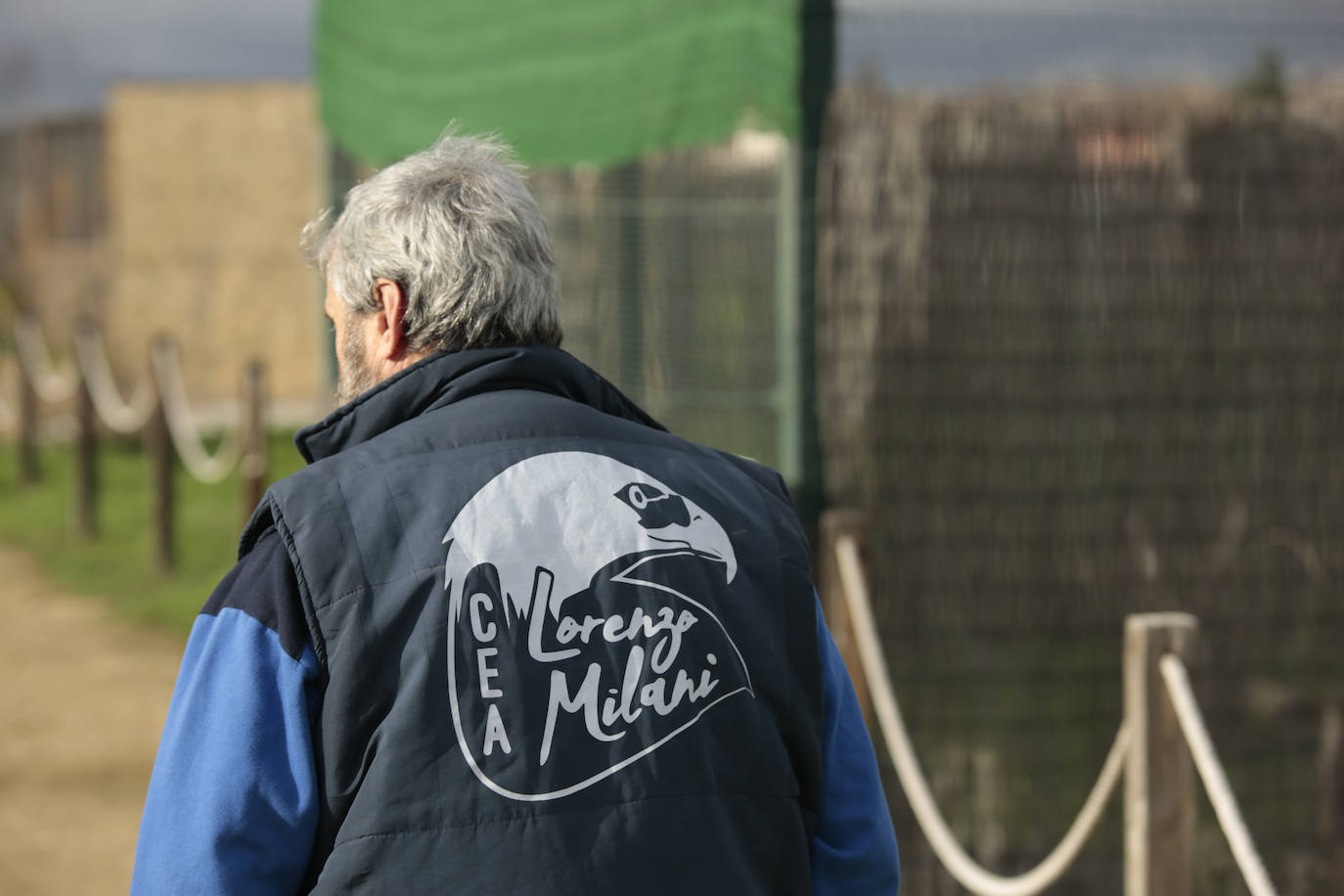 Fotos: Centro de recuperación de aves de Lorenzo Milani