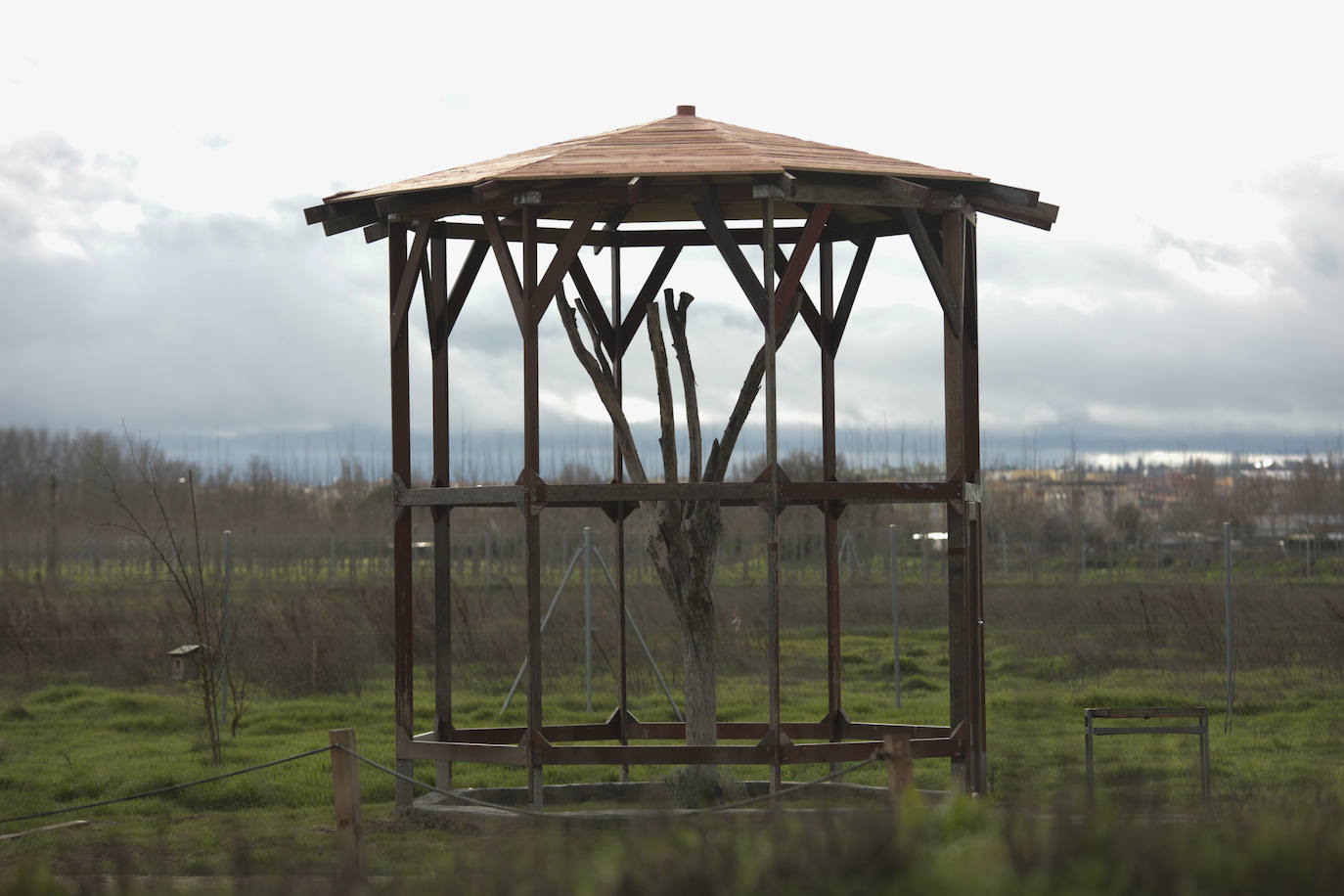 Fotos: Centro de recuperación de aves de Lorenzo Milani