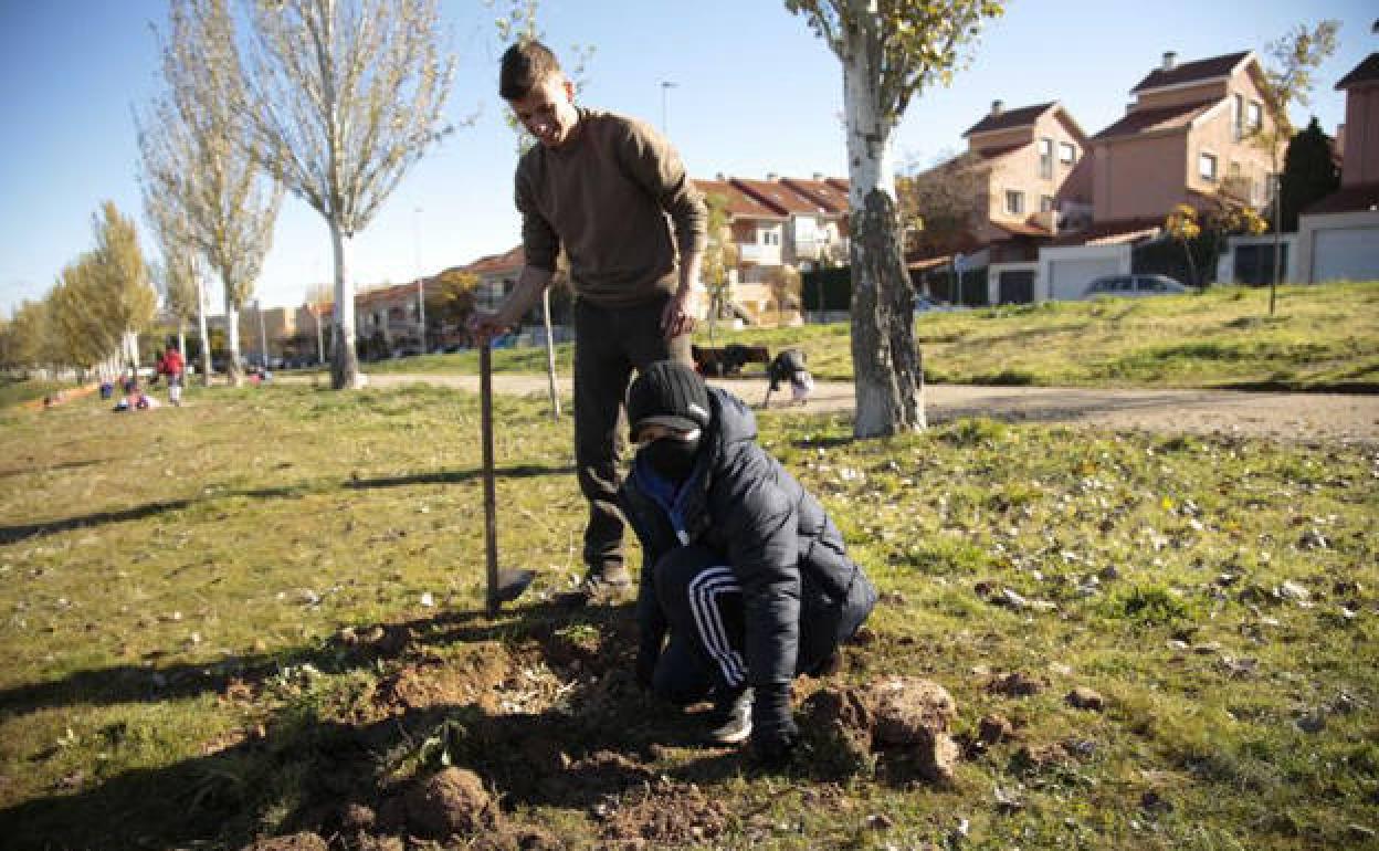 Unos jóvenes plantando uno de los árboles. 