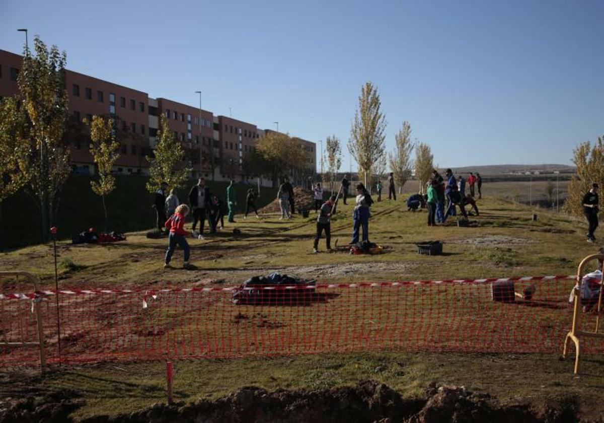 Salamanca inicia los trabajos de reforestación del proyecto LIFE Vía de la Plata