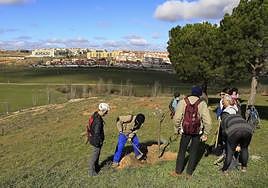 Algunos de los participantes en las labores de cuidado del viernes en la ladera de El Zurguén.
