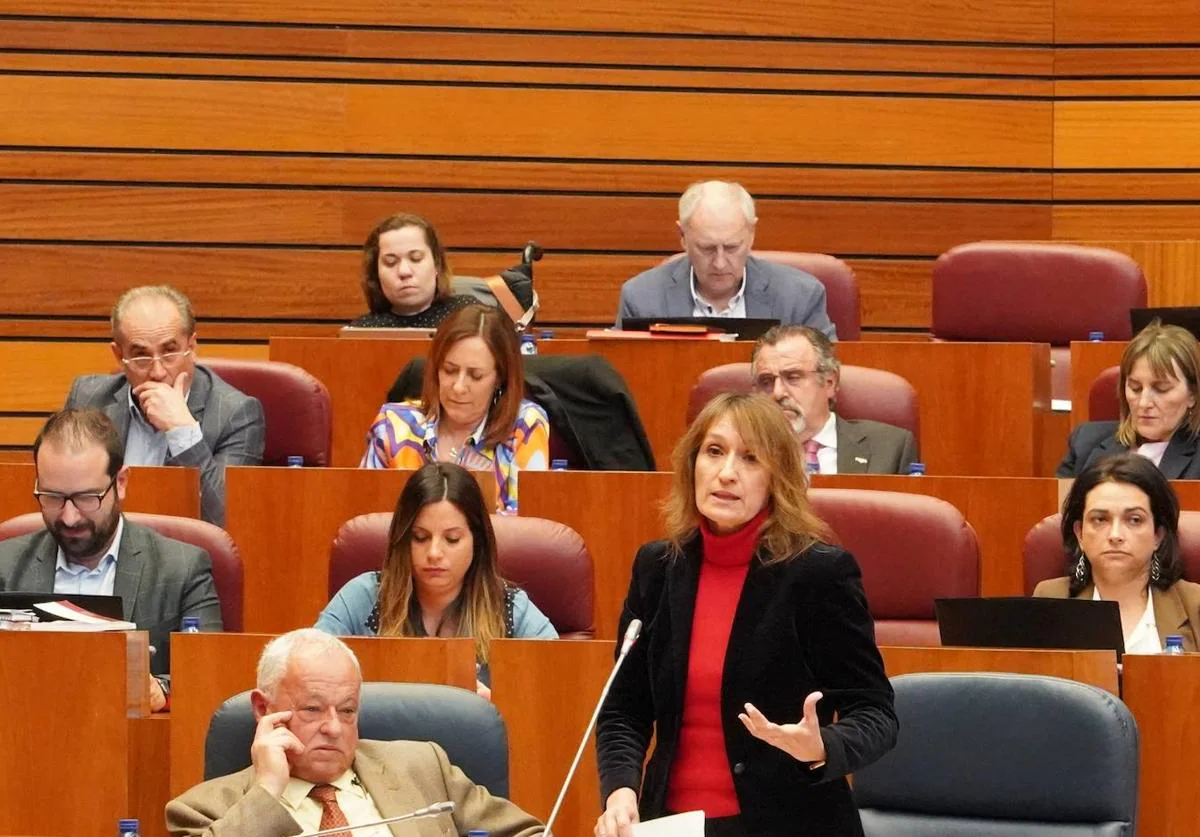 Intervención de la consejera de Educación, Rocío Lucas, en el Pleno de las Cortes.