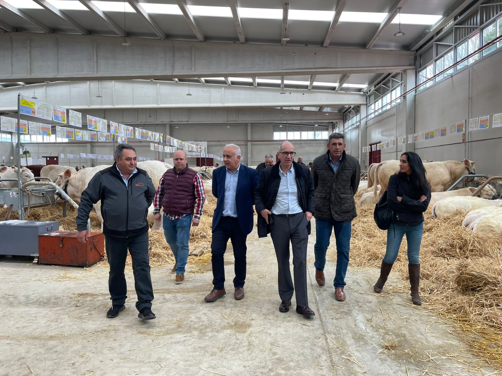 Imagen secundaria 1 - El Salón del Vacuno reúne en Salamanca 250 cabezas de ganado de seis razas diferentes