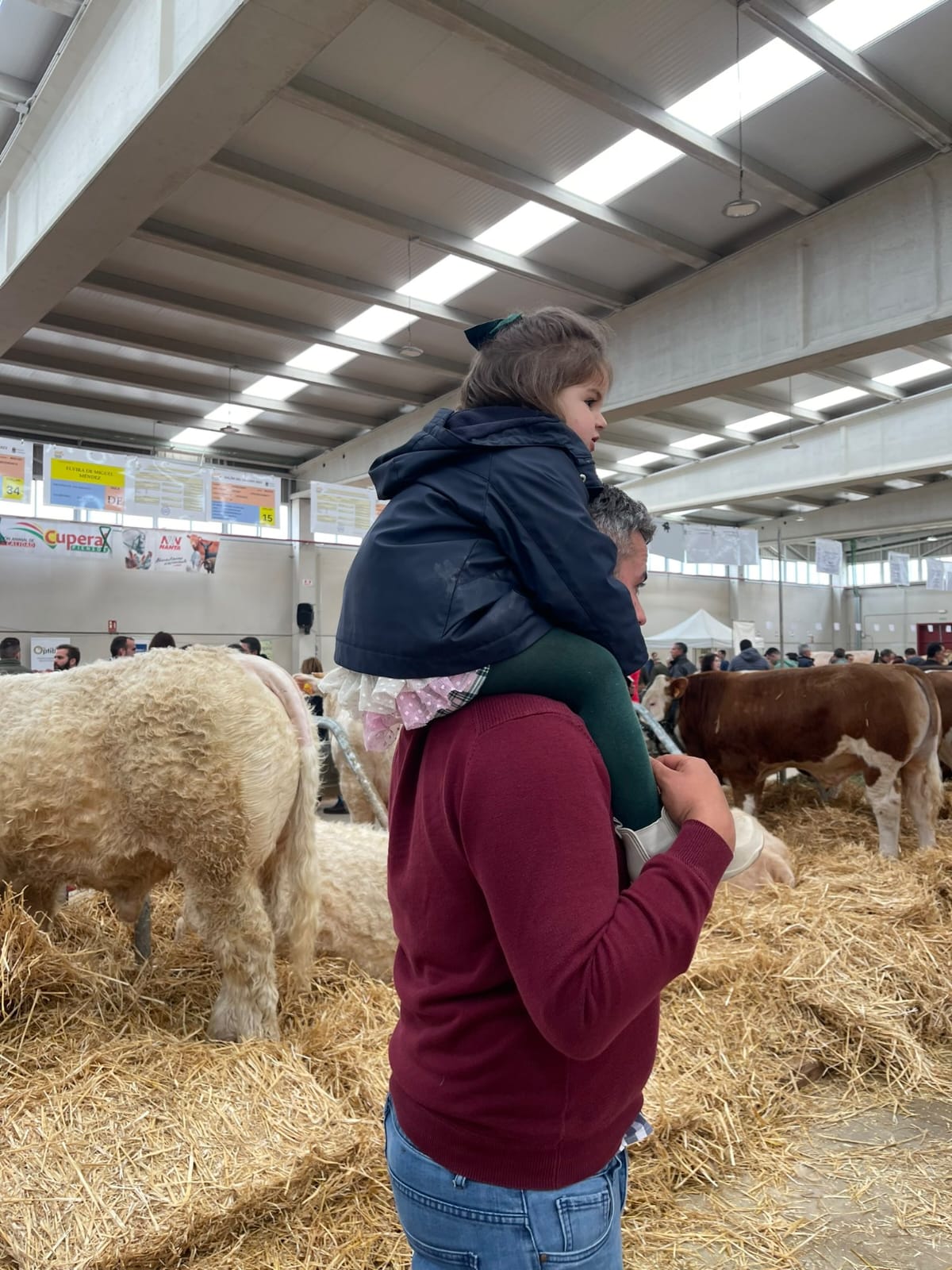 Imagen secundaria 2 - El Salón del Vacuno reúne en Salamanca 250 cabezas de ganado de seis razas diferentes