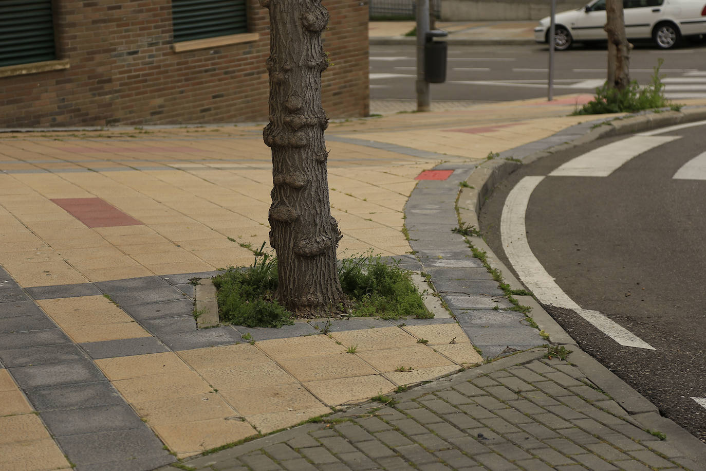 Prosperidad y Delicias reclaman más vegetación y movilidad peatonal