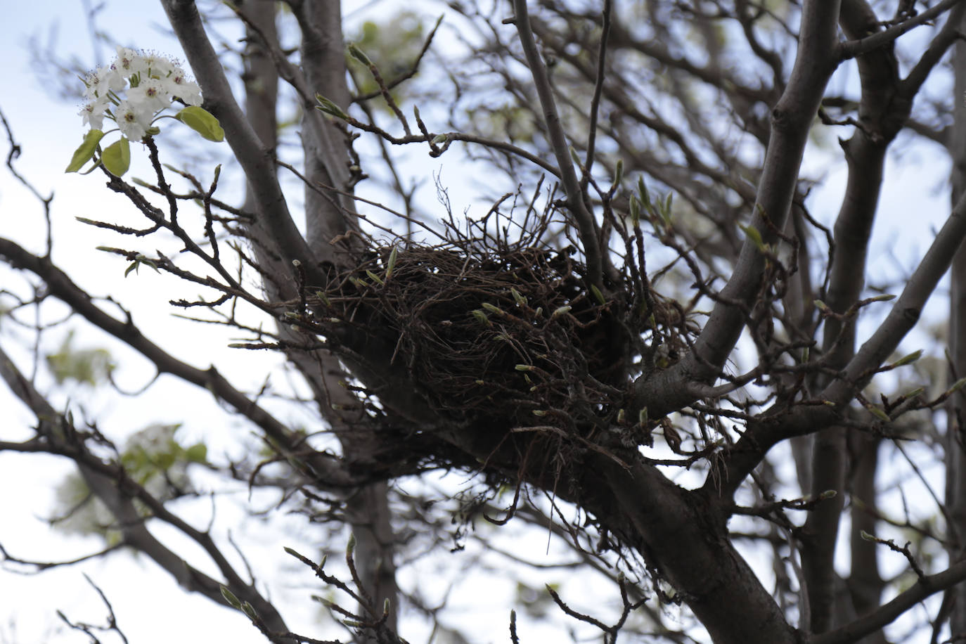 Barrios de Salamanca: Vistahermosa