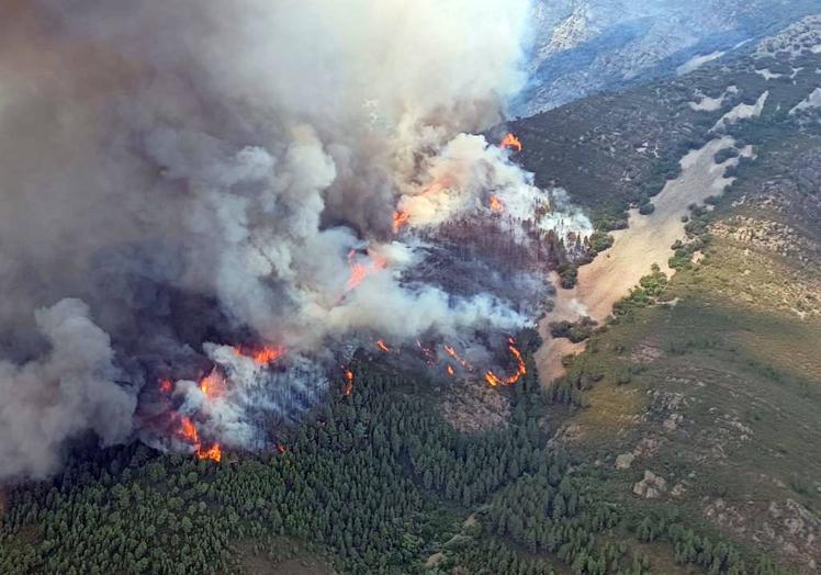 Imagen principal - IImágenes del incendio de Monsagro y La Alberca en julio de 2022.
